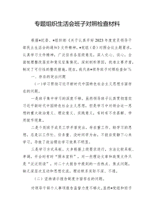 专题组织生活会班子对照检查材料.docx