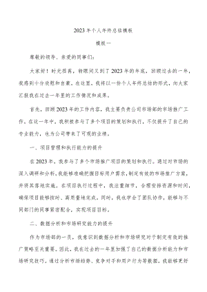 2023年个人年终总结模板.docx