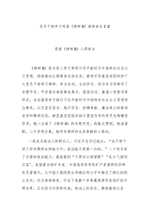 党员干部学习观看《榜样8》感悟体会2篇.docx
