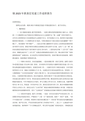 镇2023年抓基层党建工作述职报告.docx