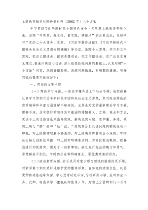 （班子）主题教育班子对照检查材料.docx