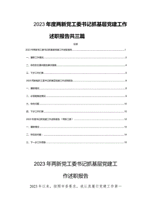 2023年度两新党工委书记抓基层党建工作述职报告共三篇.docx