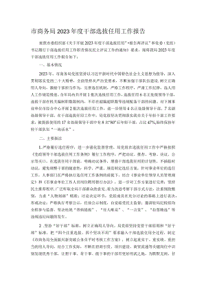 市商务局2023年度干部选拔任用工作报告.docx