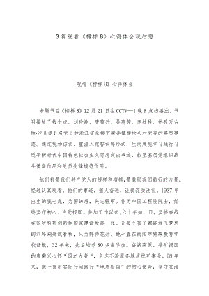 3篇观看《榜样8》心得体会观后感.docx