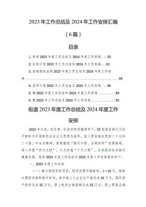 2023年工作总结及2024年工作安排汇编（6篇）.docx