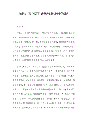 在街道“双护双百”攻坚行动推进会上的讲话.docx