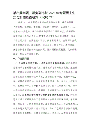 副市长2023年主题教育专题民主生活会对照检查材料.docx
