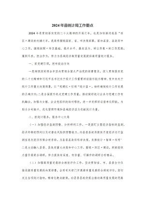 2024年度县统计局工作要点.docx