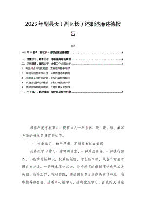 2023年副县长（副区长）述职述廉述德报告.docx