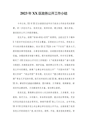 2023年XX区政务公开工作小结.docx