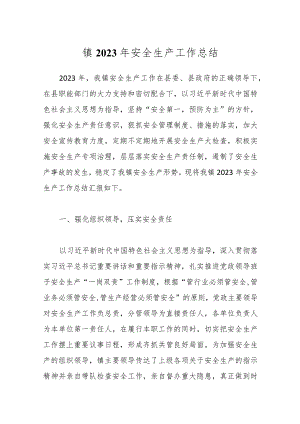 镇2023年安全生产工作总结.docx