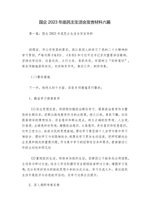 国企2023年底民主生活会发言材料六篇.docx