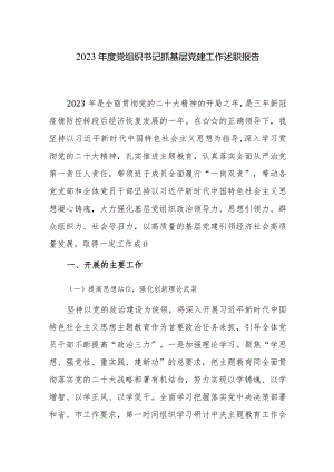 党组织书记2023年度抓基层党建工作述职报告范文3篇.docx