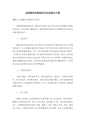 巡查整改专题组织生活会集合6篇_1.docx
