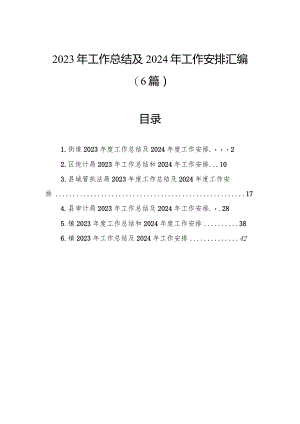2023年工作总结及2024年工作安排汇编（6篇）.docx