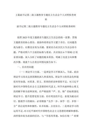 2篇副书记第二批主题教育专题检查材料.docx