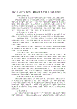 国企公司党支部书记2023年抓党建工作述职报告.docx