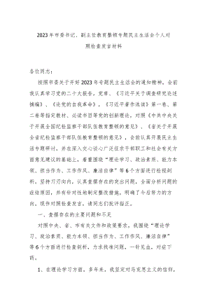 2023年市委书记、副主任教育整顿专题民主生活会个人对照检查发言材料.docx
