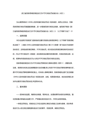 浙江省民政领域轻微违法行为不予行政处罚实施办法.docx
