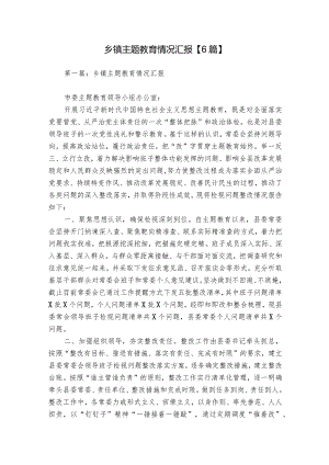乡镇主题教育情况汇报【6篇】.docx