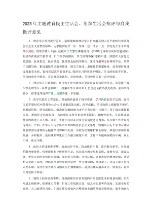 2023年主题教育民主生活会、组织生活会批评与自我批评意见.docx