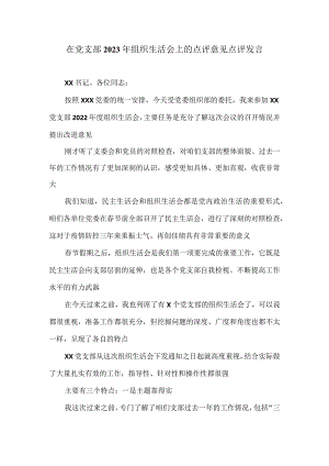 在党支部2023年组织生活会上的点评意见点评发言.docx