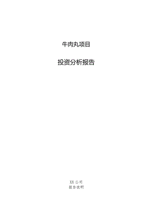 牛肉丸项目投资分析报告.docx