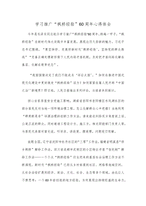 学习推广“枫桥经验”60周年心得体会.docx