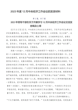 2023年度12月中央经济工作会议的发言材料.docx