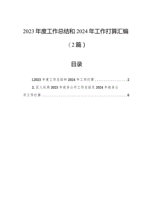 2023年度工作总结和2024年工作打算汇编（2篇）.docx