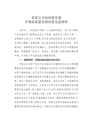 某某公司高质量党建引领高质量发展经验交流材料.docx