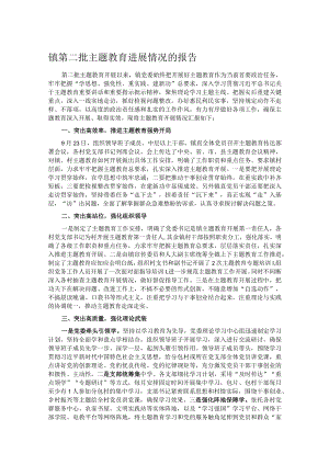镇第二批主题教育进展情况的报告.docx