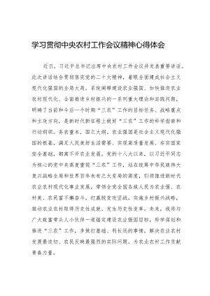 2023中央农村工作会议精神心得体会.docx