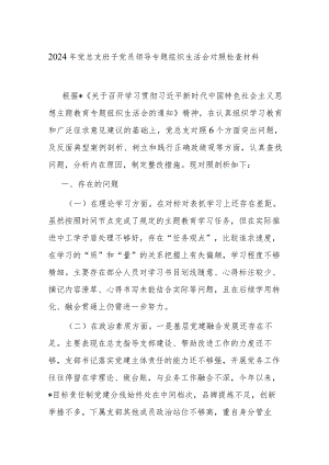 2024年党总支班子党员领导专题组织生活会对照检查材料.docx