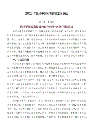 2023年纪检干部教育整顿工作总结.docx
