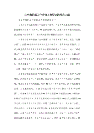 在全市组织工作会议上典型交流发言3篇.docx