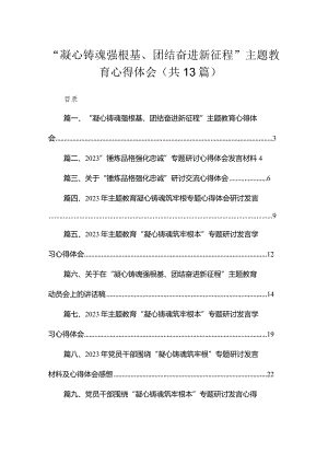 “凝心铸魂强根基、团结奋进新征程”专题教育心得体会13篇（精编版）.docx