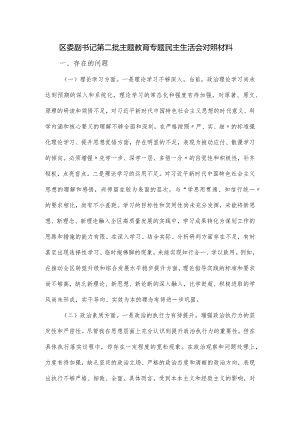区委副书记第二批主题教育专题民主生活会对照材料.docx