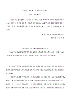 娄底市促进先进材料产业发展若干规定.docx