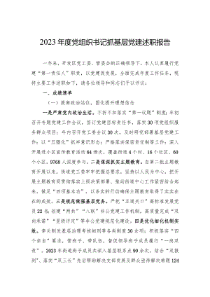 2023年度党组织书记抓基层党建述职报告 4篇.docx