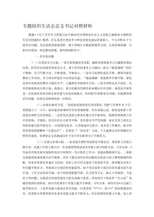 专题组织生活会总支书记对照材料.docx