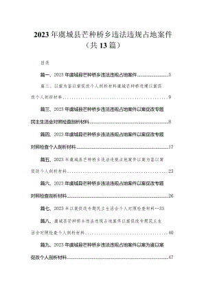 （13篇）2023年虞城县芒种桥乡违法违规占地案件范文.docx
