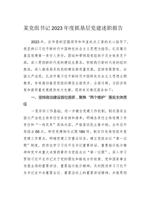 某党组书记2023年度抓基层党建述职报告.docx