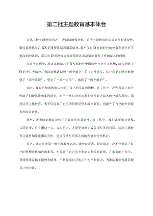 第二批主题教育基本体会.docx