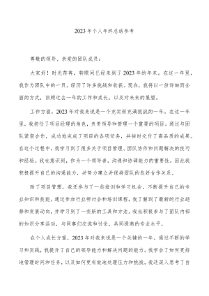 2023年个人年终总结参考.docx