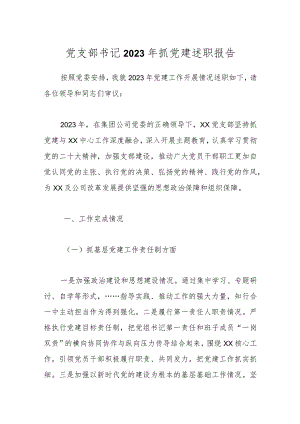 党支部书记2023年抓党建述职报告.docx