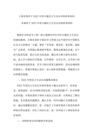 2篇常委班子2023年度专题检查材料.docx