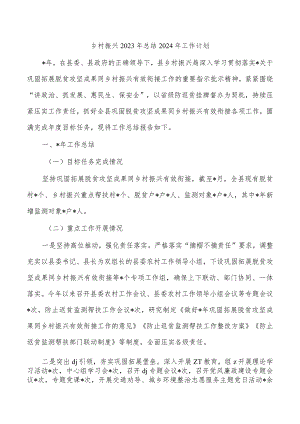 乡村振兴2023年总结2024年工作计划.docx