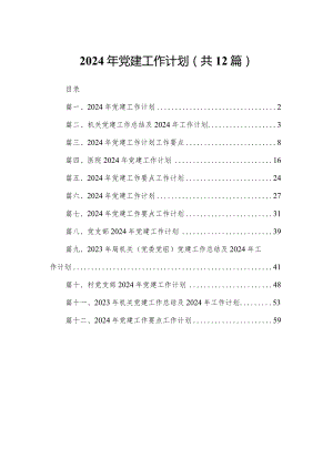2024年党建工作计划(精选12篇).docx