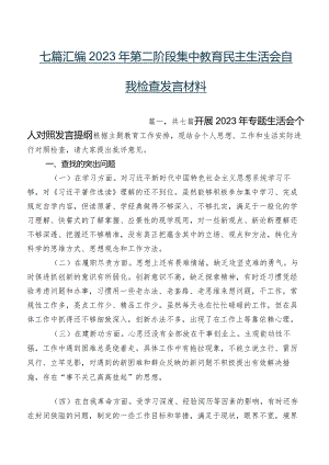 七篇汇编2023年第二阶段集中教育民主生活会自我检查发言材料.docx